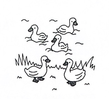 minna 25 bai doc hieu, Plus Bai 11 - 4 